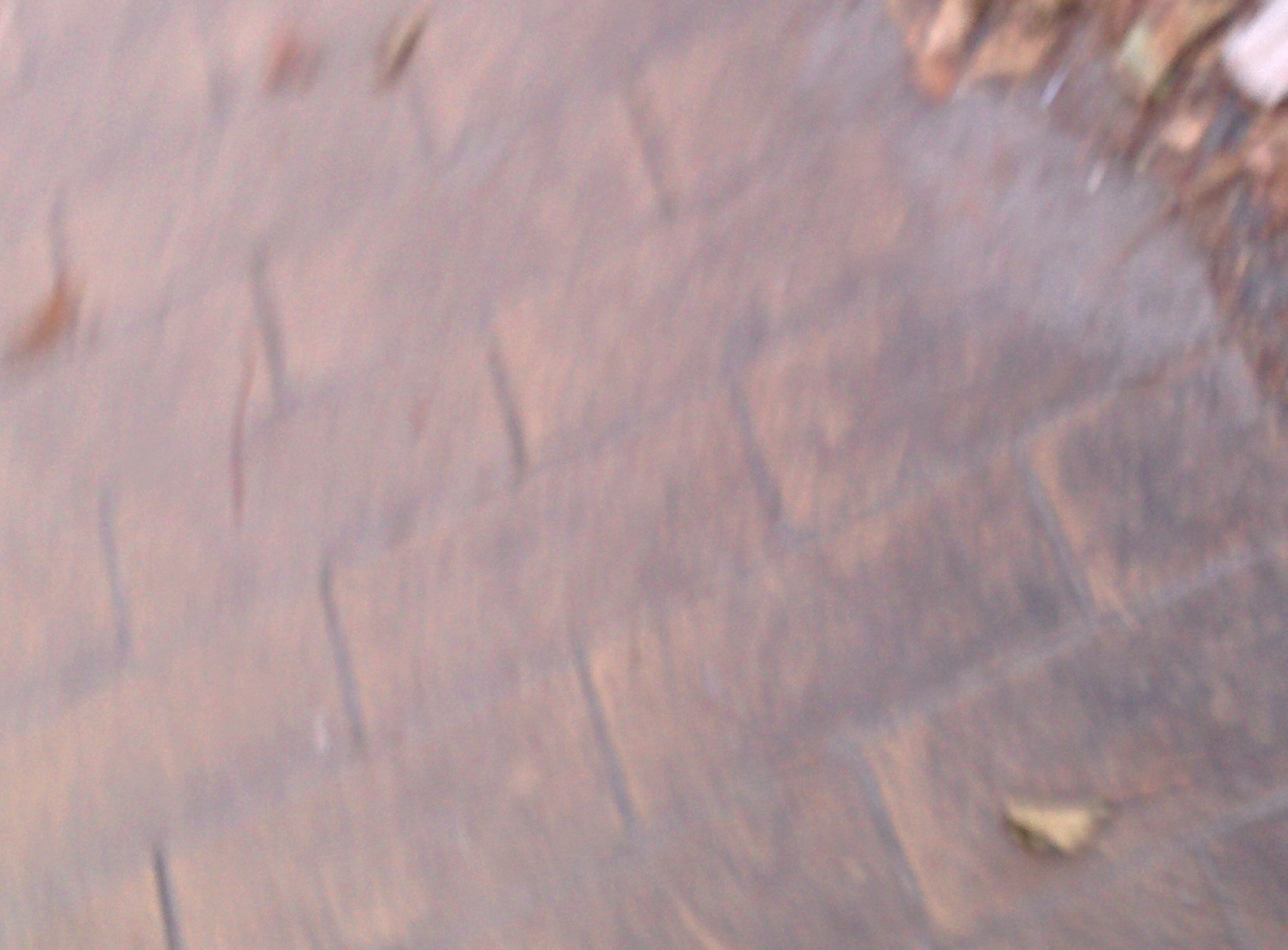 blurry pavement